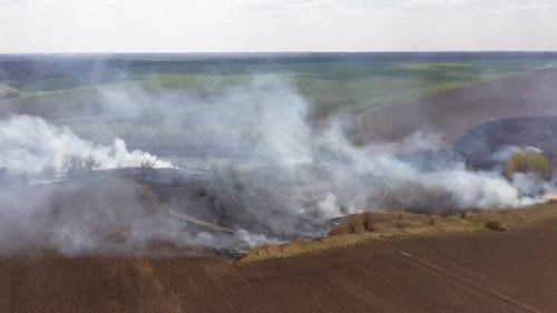 The Big Extensive Fire in the Field.