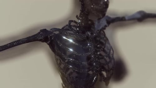 Animated 3D Skeleton Scan with Glowing Energy Flow