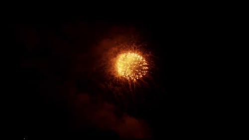 Colorful Fireworks Exploding in the Dark Night Sky