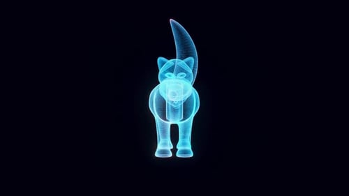 Plastic Toy Cat Hologram 4k