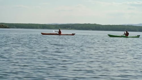 Kayakers Paddle Across Tranquil Lake on Sunny Day