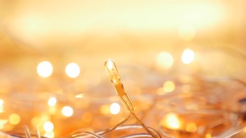 Close Up of Yellow Christmas String Lights