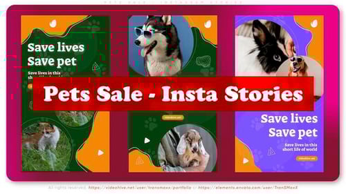 Vibrant Pet Social Media Stories Promotion