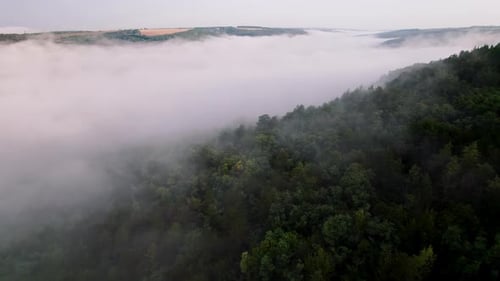 Aerial Drone View on Mountain Forest in Thick Fog