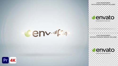 Elegant Light Flares Logo Reveal