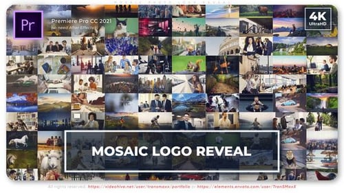 Mosaic Photo Logo Reveal