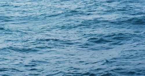 Sea and ocean wave