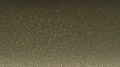 Many Small Bubbles In A Glass With Soda, Close Up