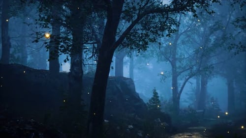 Forêt en hauteur avec la lumière brillante de la lune