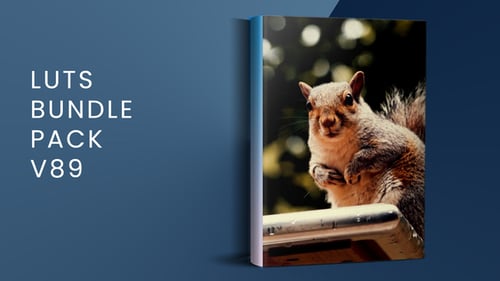 LUTs Bundle Pack V89 | FCPX