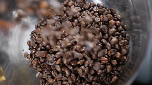 Beans of Coffee Raining in Slow Motion. Conceptual Clip of Coffee Beans, Close Up. Coffee Beans