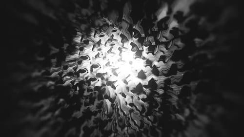 Abstract Fluid Monochrome Organic Shapes Motion Background