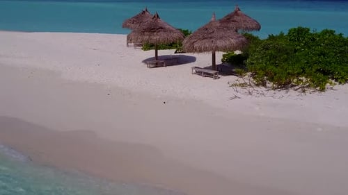 Aerial nature of tropical lagoon beach wildlife by sea and sand background
