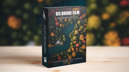 Die besten Filmmusik Drohnen-LUTs für DJI-, Parrot- und Autel-Modelle