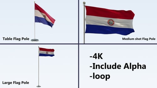 Waving Paraguay National Flag with Alpha Channel Loop