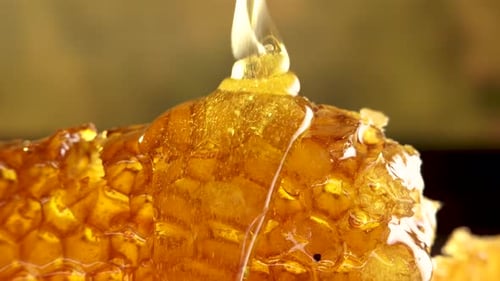 Golden Honey Pours on the Honeycomb