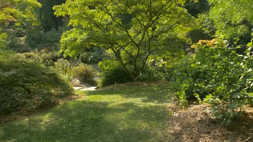 Path leading to a pond