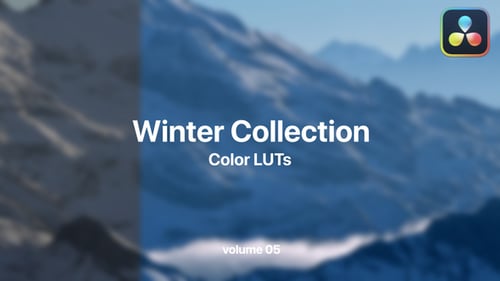 Winter LUTs Collection Vol. 05
