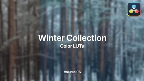 Winter LUTs Collection Vol. 06