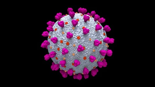 Rotating 3D Model of a Virus Pathogen with Spike Proteins