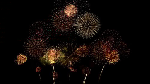Brilliant Fireworks Exploding in the Night Sky