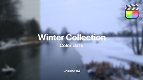 Winter LUTs Collection Vol. 04