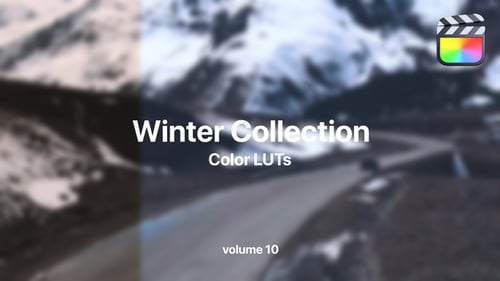 Winter LUTs Collection Vol. 10