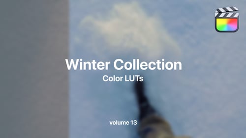 Winter LUTs Collection Vol. 13