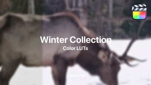 Colleción Winter LUTS Vol. 14