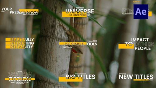Yellow Corporate Titles