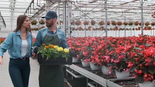Man and Woman Walk Through Greenhouse with Flowers