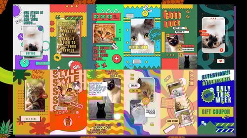 Dynamic Vertical Stories for Social Media Marketing