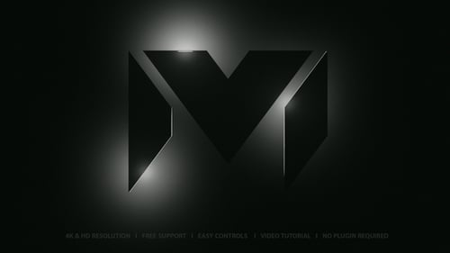 Logo Reveal