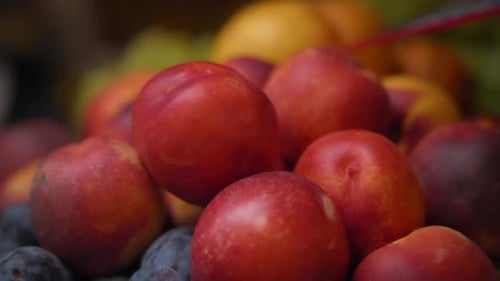Vibrant Close Up of Assorted Summer Fruit