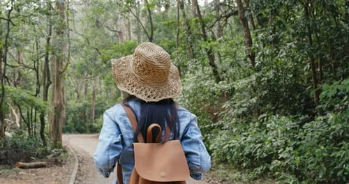 Woman look at the forest in hiking trail