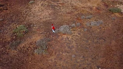 Aerial View of a Woman Hiking Along a Volcanic Surface Near the Ocean Coast Tenerife Canary Islands