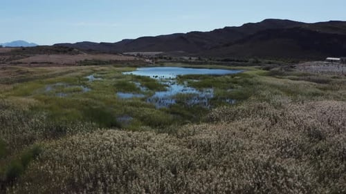 Aerial slow forward tracking over a farm and lake with dry grass and reeds swaying gently.
Shot in K
