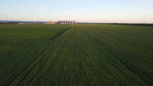 Grain Elevator