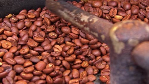Roasted Coffee Beans Turning in Machine