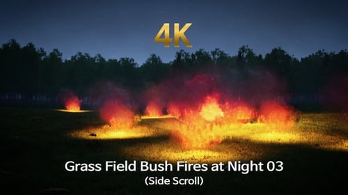 Grass Field Bush Fire at Night 03 (Side Scroll)