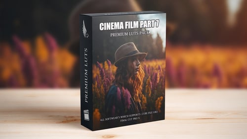 Street Style LUTs Collection - Urban Edge for Contemporary Footage