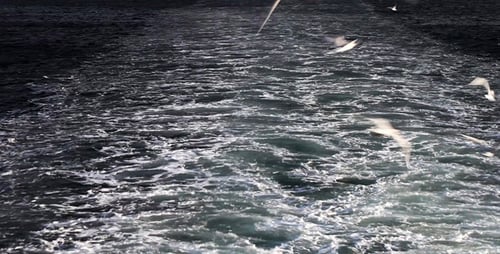 The Sea and Seagulls