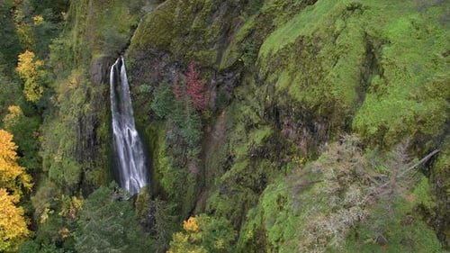 Aerial view of waterfall and fall trees