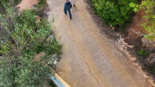 Adult Walking Dog on Road in Nature