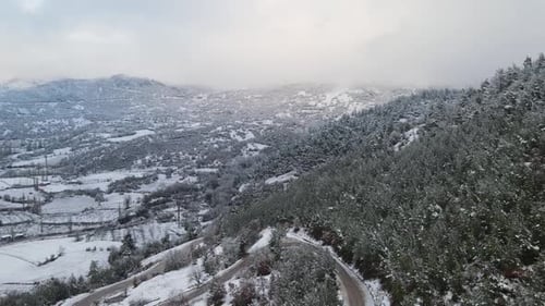 Winter Forest Mountains