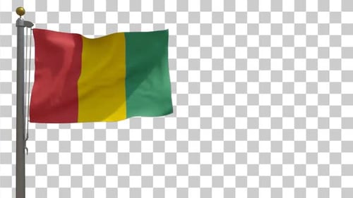 Guinea-Flagge auf Fahnenmast mit Alpha-Kanal -