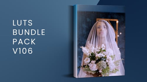 LUTs Bundle Pack V106 | FCPX