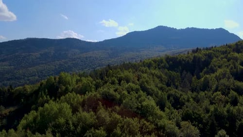 Steep green mountains, deep forest and mountain road, beautiful valley