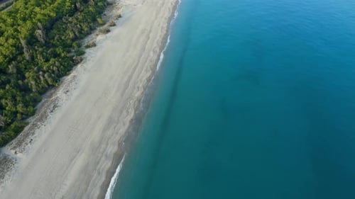 Coast with Forest and Flat Sea