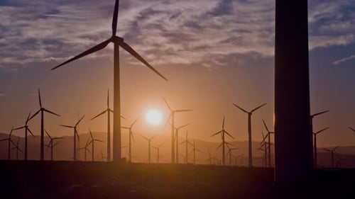 Silhouetted Wind Turbines at Sunset